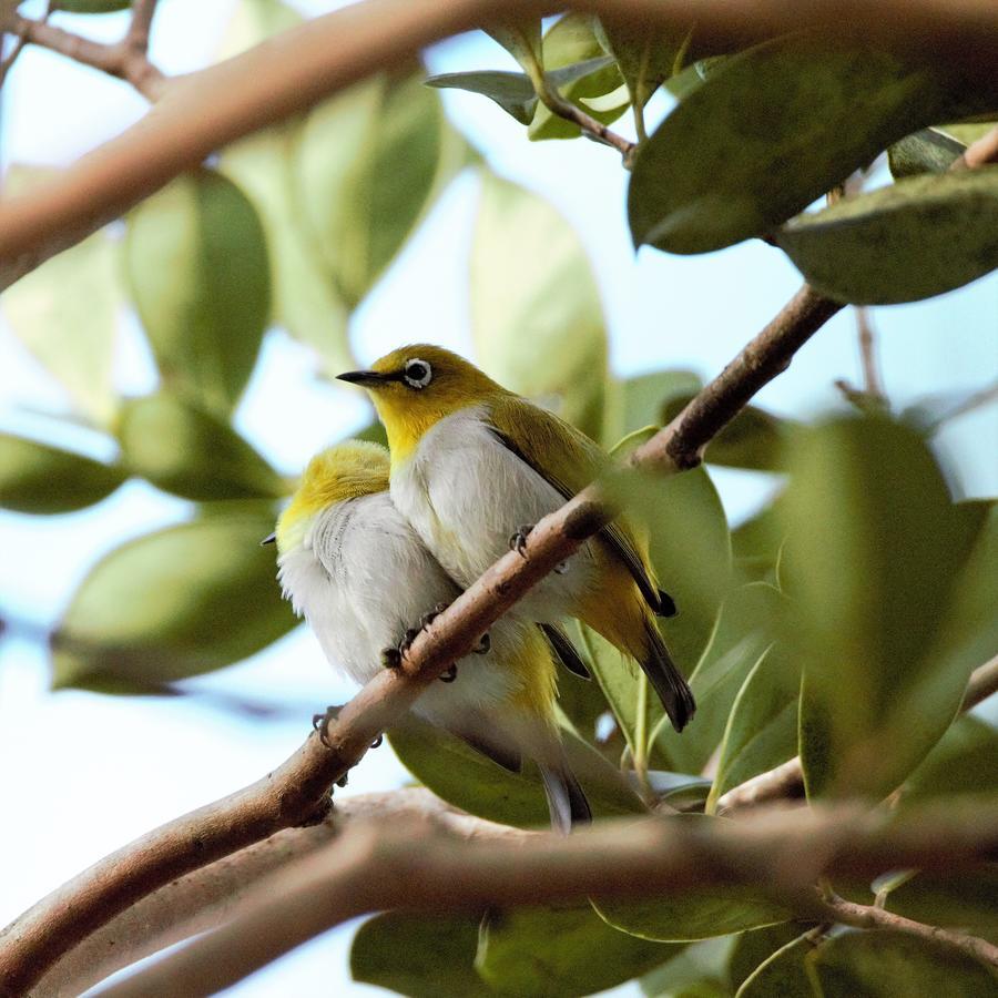 Villa Nilmalee Gampola Bagian luar foto